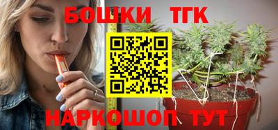 стаф Тула