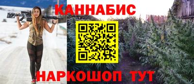 стаф Тула