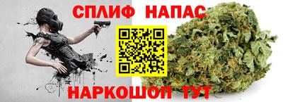 стаф Тула